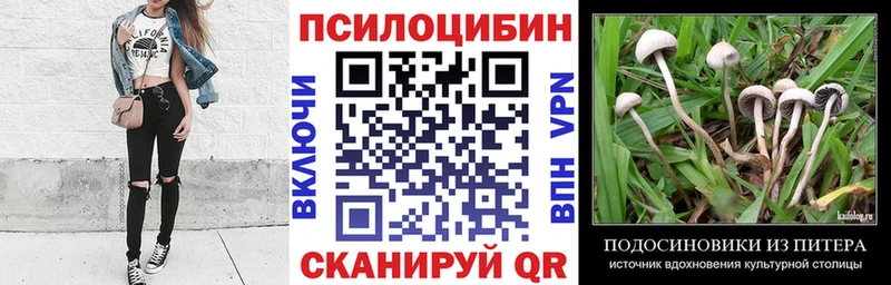Галлюциногенные грибы мицелий  omg tor  Бабушкин 